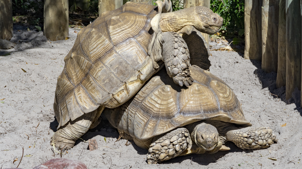 20160217-120058••Fort Walton Beach•Florida•USA